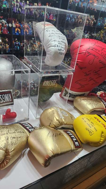SIGNED BOXING GLOVE COLLECTION