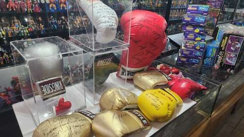 SIGNED BOXING GLOVE COLLECTION