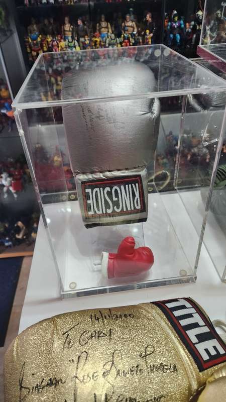 SIGNED BOXING GLOVE COLLECTION