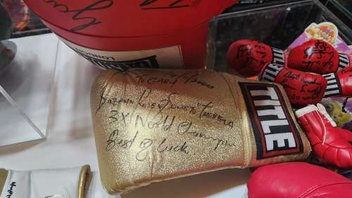 SIGNED BOXING GLOVE COLLECTION