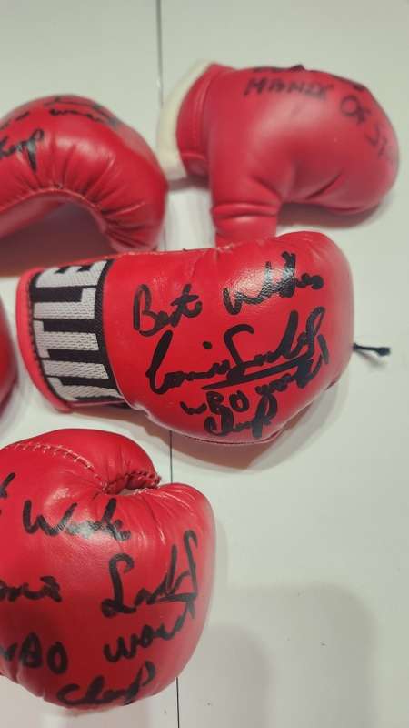 SIGNED BOXING GLOVE COLLECTION
