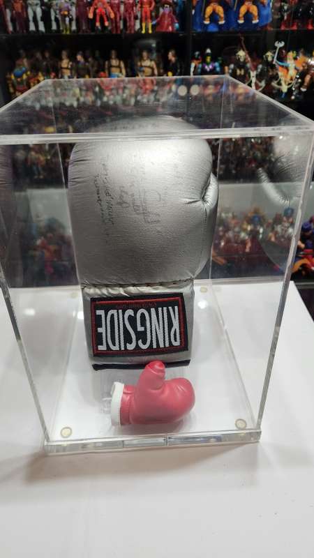 SIGNED BOXING GLOVE COLLECTION