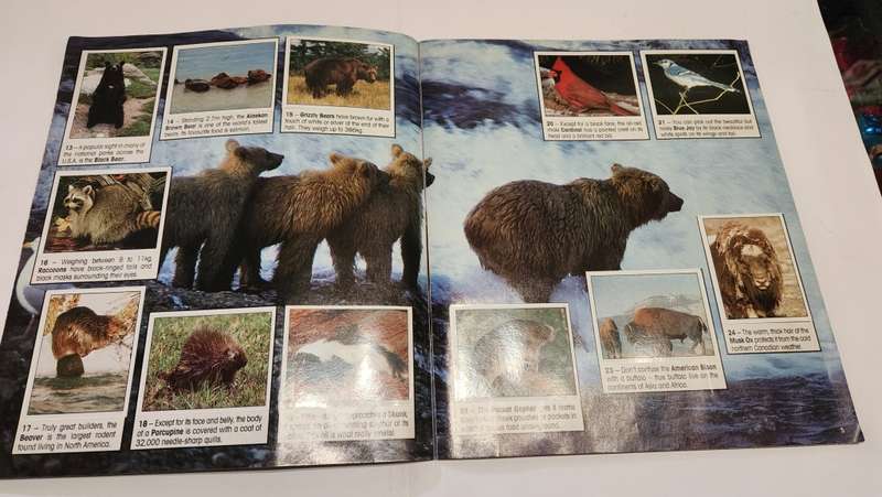 1990 Complete Animals Of The World Panini Sticker Album Vintage Figure