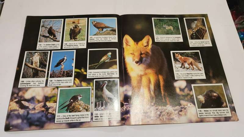 1990 Complete Animals Of The World Panini Sticker Album Vintage Figure