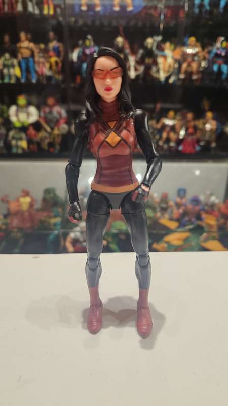 Marvel Legends Spider Woman Action Figure