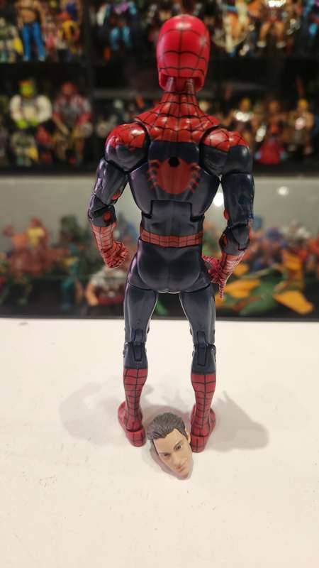 Marvel Legends Spider-Man Action Figure