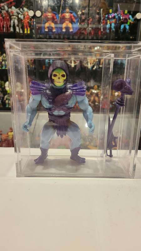 1981 Complete Skeletor of He-Man Masters of the Universe (MOTU) Vintage Figure
