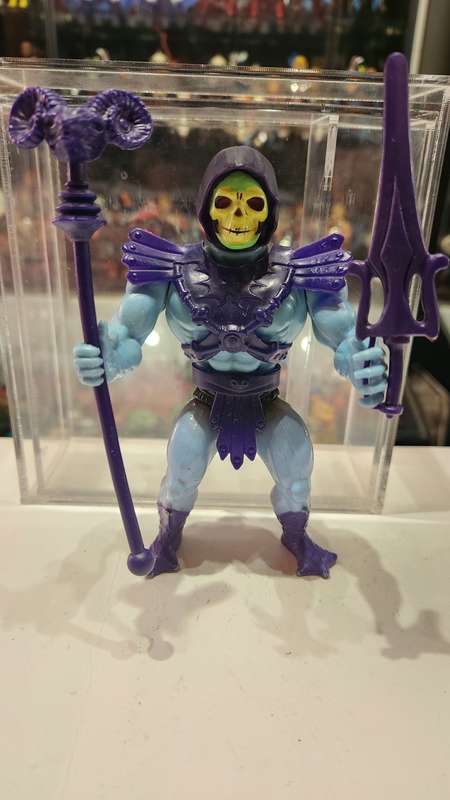 1981 Complete Skeletor of He-Man Masters of the Universe (MOTU) Vintage Figure