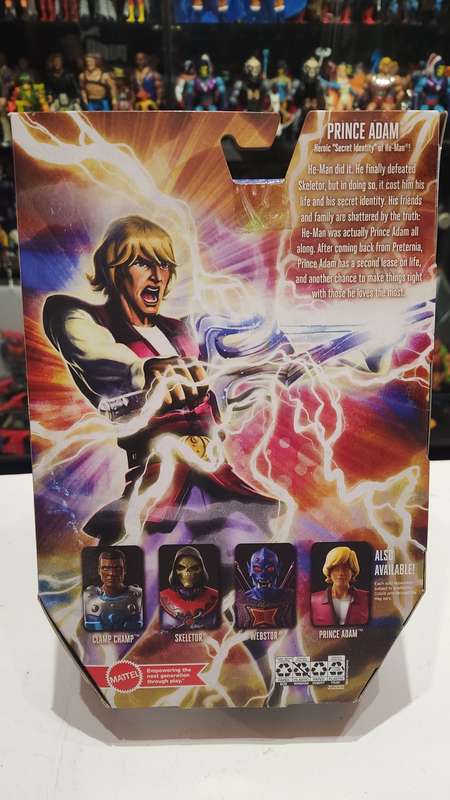 Masters Of The Universe (Motu) Masterverse Prince Adam Figure Moc