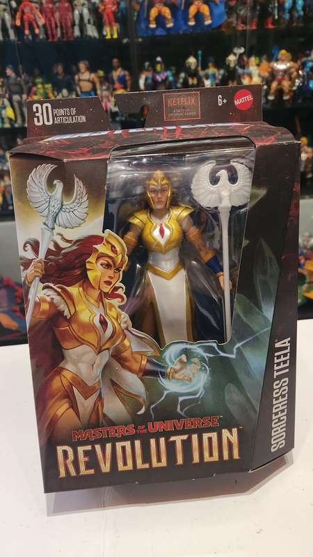 Masters Of The Universe (Motu) Masterverse Sorceress Teela Figure Moc