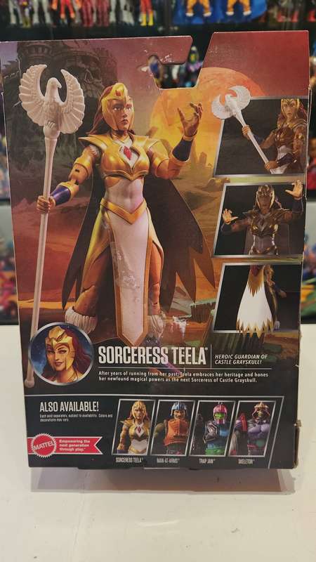 Masters Of The Universe (Motu) Masterverse Sorceress Teela Figure Moc