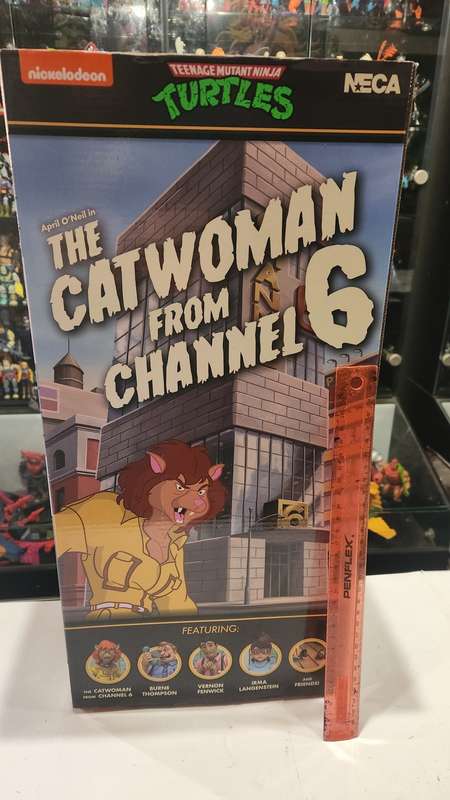 Boxed Neca Tmnt The Catwoman From Channel 6 Figure Teenage Mutant Ninja Turtles