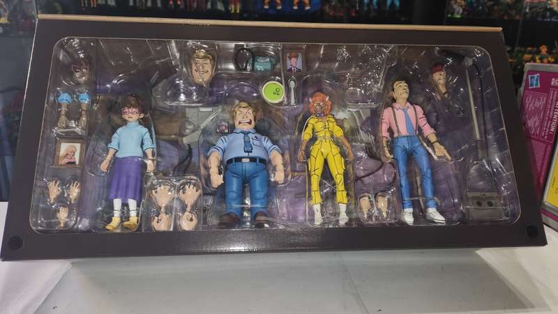 Boxed Neca Tmnt The Catwoman From Channel 6 Figure Teenage Mutant Ninja Turtles