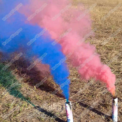 Gender Reveal Smoke Bombs  Boy or Girl - Blue and Pink Pull Ring Smoke Boom Set