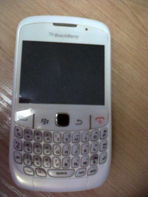 White Blackberry Curve