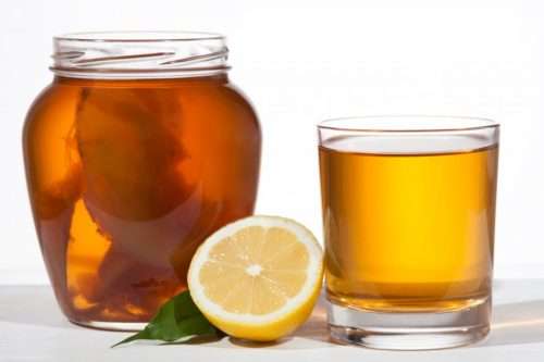 Fresh Kombucha SCOBY in starter tea (Starter culture for delicious, nutritious, home-made Kombucha)