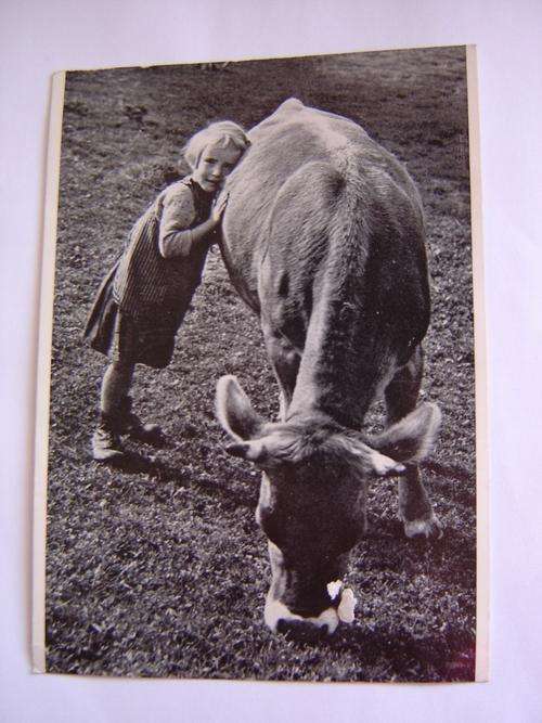Austrian Postcard
