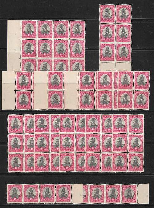 SA 1950 SCREENED PICTORIALS 1d MNH ACCUMULATION IN MULTIPLES AS PER SCAN