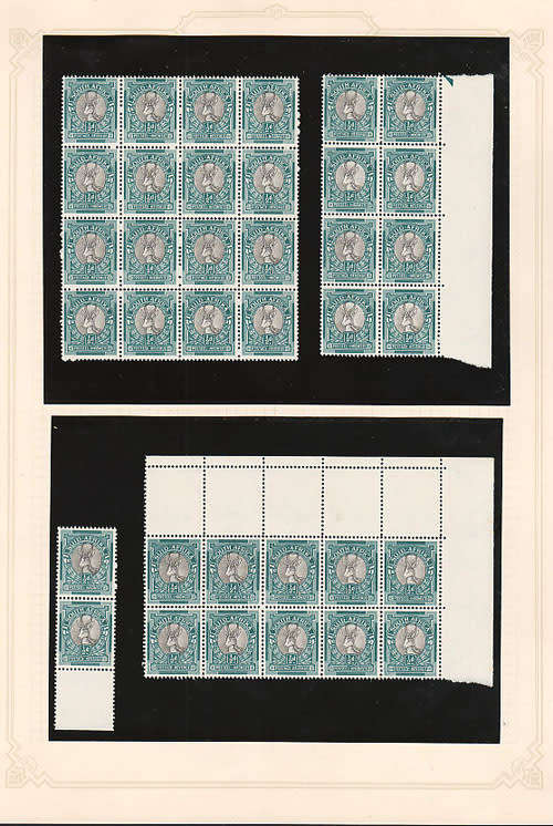 SOUTH AFRICA 1947 SCREENED PICTORIALS ½d INCL OFFICIALS ACCUMULATION ON 8 PAGES IN MULTIPLES MNH