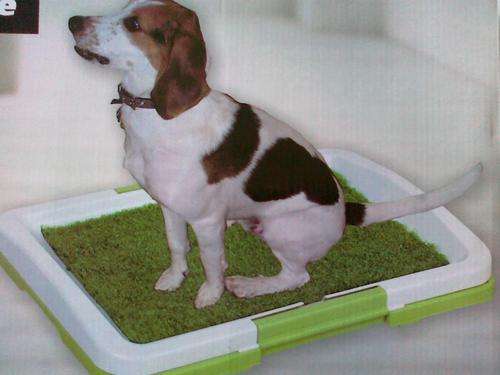 Homelife Indoor Dog toilet