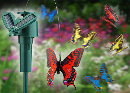 Solar Butterfly