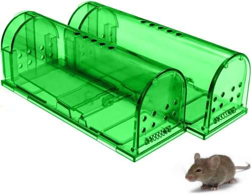 Mouse Trap: Set of 2 Humane Mice Traps (Rodent Catcher)