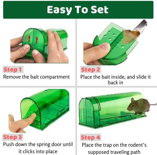Mouse Trap: Set of 2 Humane Mice Traps (Rodent Catcher)