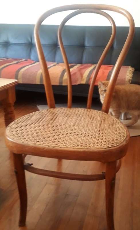 Bentwood Chair Antique Antique Bentwood chair, original, no changes, seating firm. From authentic se