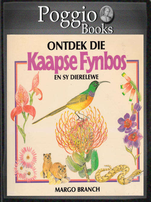 Ontdek die Kaapse fynbos en sy dierelewe deur Margo Branch