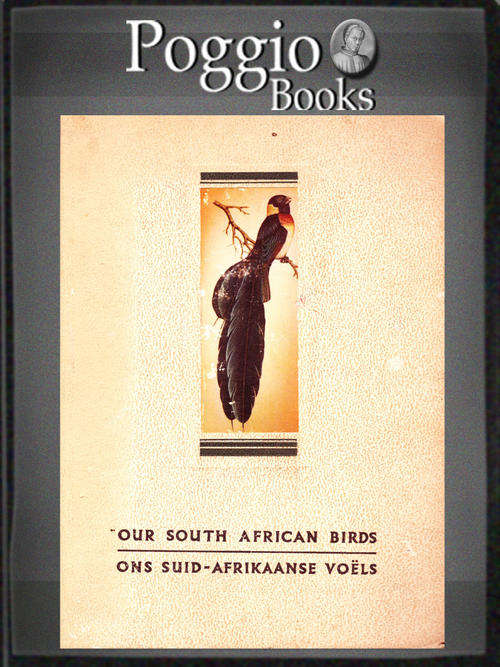 Our South African Birds Ons Suid-Afrikaanse voels Bilingual album edited by Dr Austin Roberts