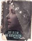 Blom van Bloemfontein deur Mark Preston Bloemfontein as agtergrond roman