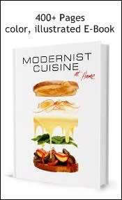 Modernist cuisine at home gourmet cooking E-book 400+ pages in PDF