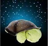 *** M*u*s*i*c*a*l *** CONSTELLATION STAR LIGHT Turtle *** Available in light olive