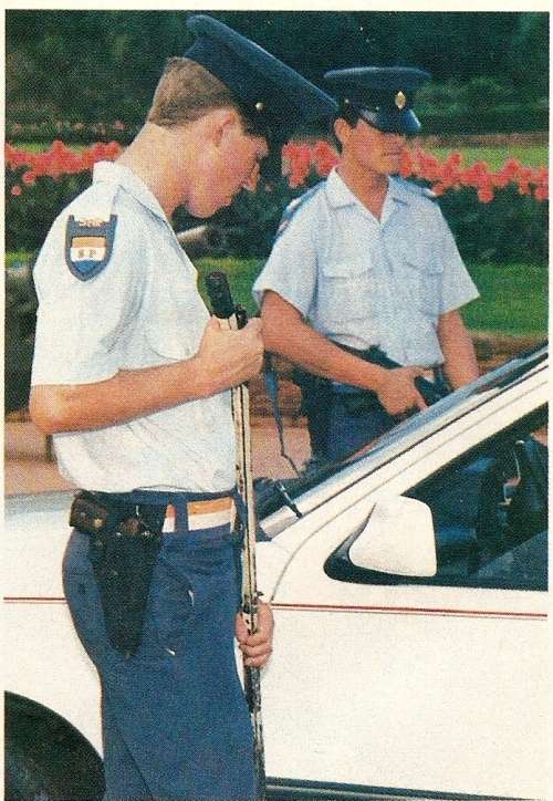 South African Police State Presidents Special Guard Unit arm flash, scarce