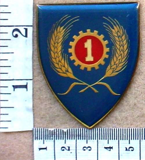 1 Maintenance Unit arm flash, pins cut off (SADF - Technical Service Corps)