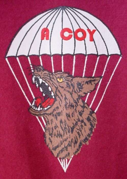 1 Parachute Battalion A Company T-shirt, Lt Col OC 1 Para Bn, Large size (A Coy)