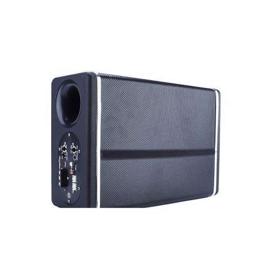 CAR SUB-WOOFER 8"
