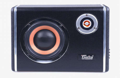 CAR SUB-WOOFER 8"