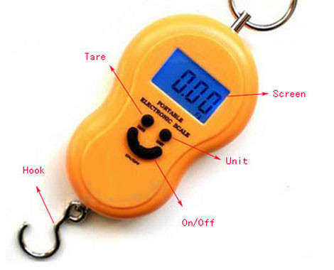 portable electronic scale