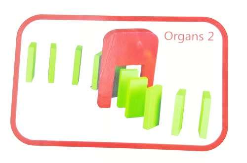 10 colored dominoes Kids Educational toys