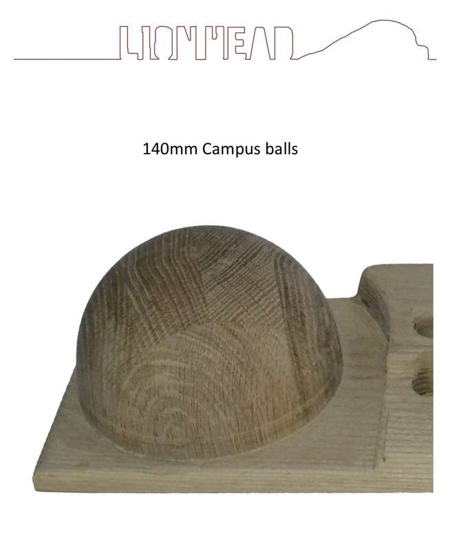 Hang board Pro
