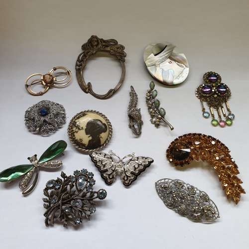 An Array of Beautiful Brooches | Bid to take All