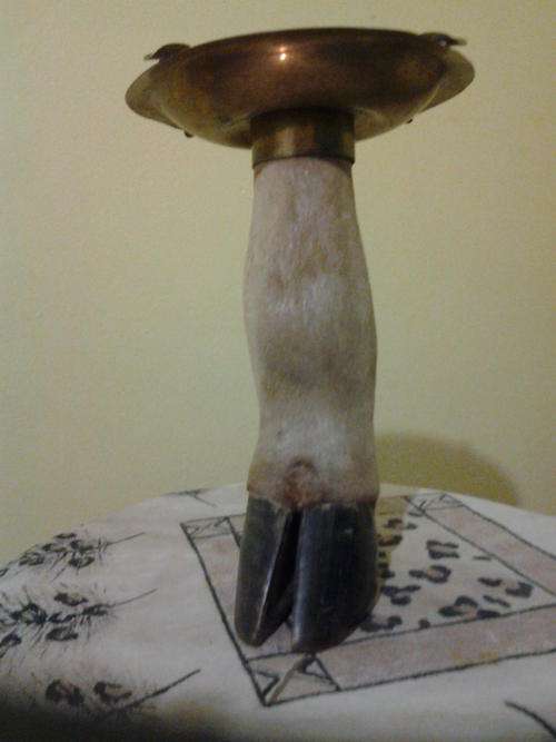BUCK BOTTOM LEG ASHTRAY DONE PROFFESIONALLY BY TAXI DERMIST