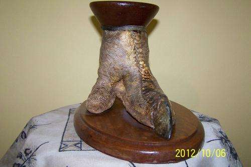 STUNNING OSTRICH FOOT MOUNTED ON WOODEN BASE PROFESSIONALLY DONE BY TAXIDERMIST