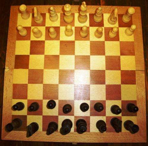 Portable Chess Set