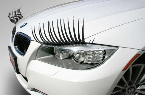 Universal Car Lashes
