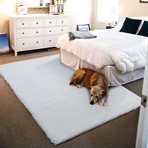 Carpets & rugs