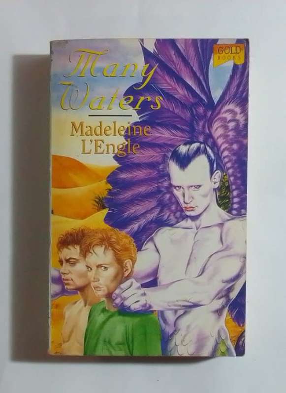 Many waters-By: Madeleine L'Engle