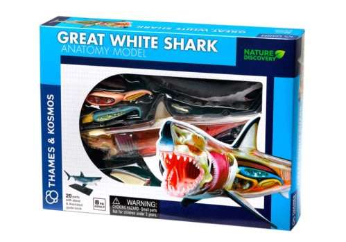 Thames & Kosmos Animal Anatomy Kit - Great White Shark