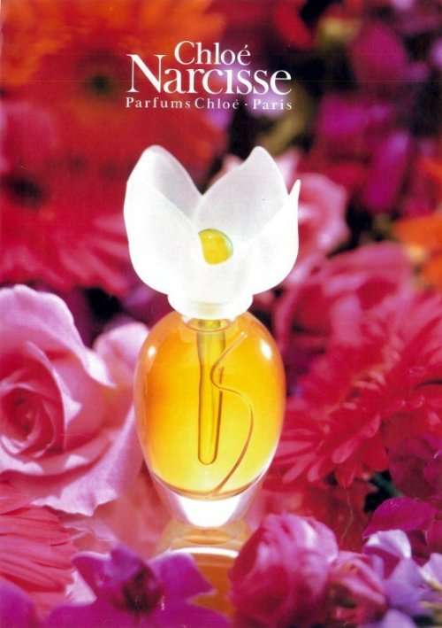 Buy chloe narcisse perfume best sale